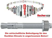 11 FISCHER Bolzenanker FBN Beton Dübel Schwerlastdübel Fixanker Niedersachsen - Lage (Dinkel) Vorschau