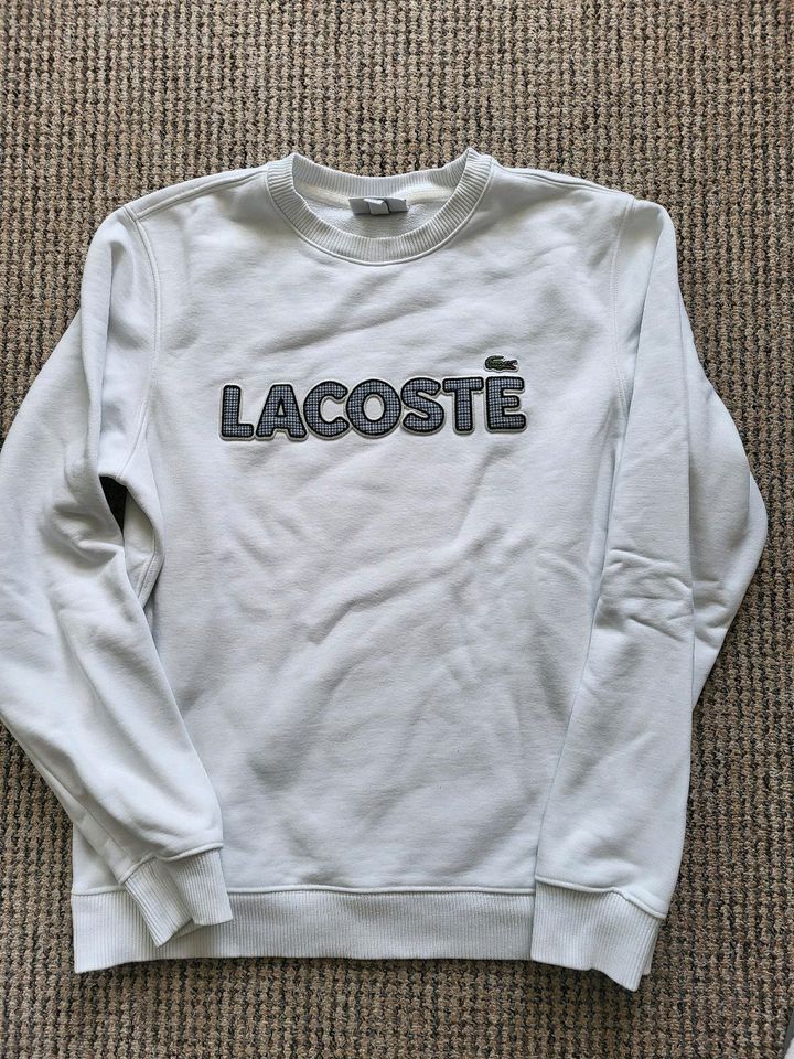 Pullover Lacoste Gr. M in Waren (Müritz)