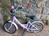 Puky Kinder Fahrrad lila 16 Zoll Schleswig-Holstein - Itzehoe Vorschau