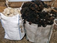 Schafswolle gerade frisch geschoren Niedersachsen - Uplengen Vorschau
