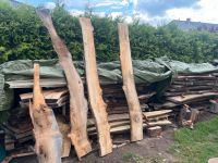 Ulme Holz Massivholz Bohle Sachsen-Anhalt - Braschwitz Vorschau