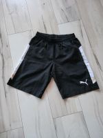 Leichte Shorts für Jungen Training Größe 164 PUMA schwarz Hessen - Hainburg Vorschau