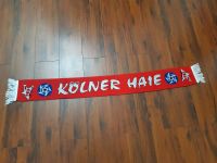 Kölner Haie Schal KEC European Hockey League Köln - Riehl Vorschau