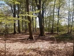 Waldgrundstück/ Wochenendgrundstück in Frankfurt am Main