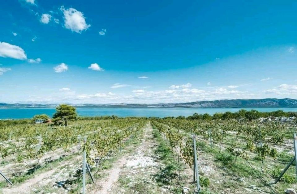 Ferienhaus mit Pool Vraner See Kroatien zurűck zu Natur in Köln