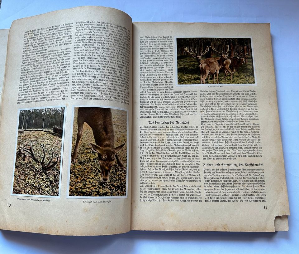 Sammelbilderalbum Aus Wald und Flur Zigarettenbildchen in Lemgo