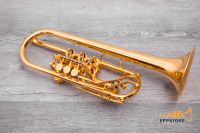 WEIMANN C Calidus Trompete Trumpet vergoldet gold plated Bayern - Wiedergeltingen Vorschau