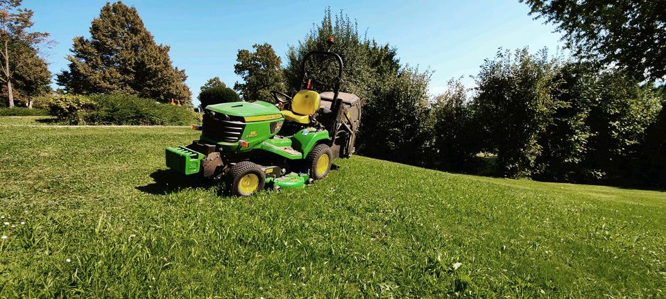 Rasen Garten Mähen Rasenmähen Heckenschnitt Gartenpflege in Schorndorf