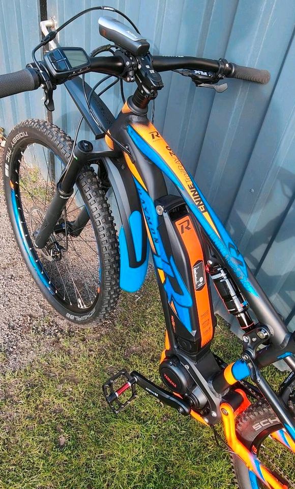 E Bike - Raymon E Nine Trailray 7.0 in Tauche