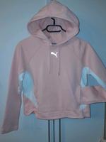 Puma Kapuzen-pullover XS Sachsen - Geithain Vorschau