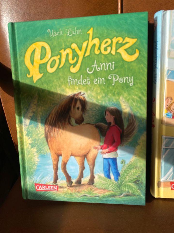 Ponyherz Buch in Schwabenheim an der Selz