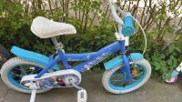 Elsa Fahrrad 14 Zoll Altona - Hamburg Iserbrook Vorschau