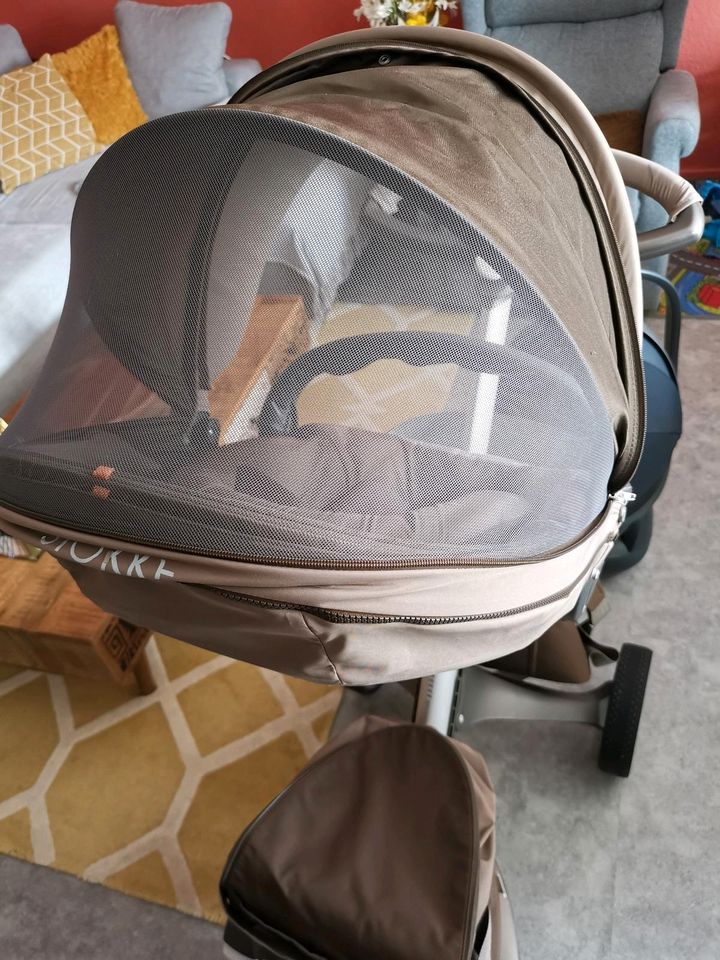 Kinderwagen Stokke xplory v5 in Köln