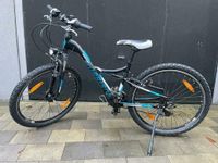 Mountainbike Marke MORRISON ATB Series Bayern - Pretzfeld Vorschau