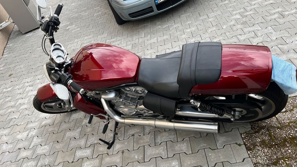 Harley Davidson V-Rod Muscle in Hochheim am Main