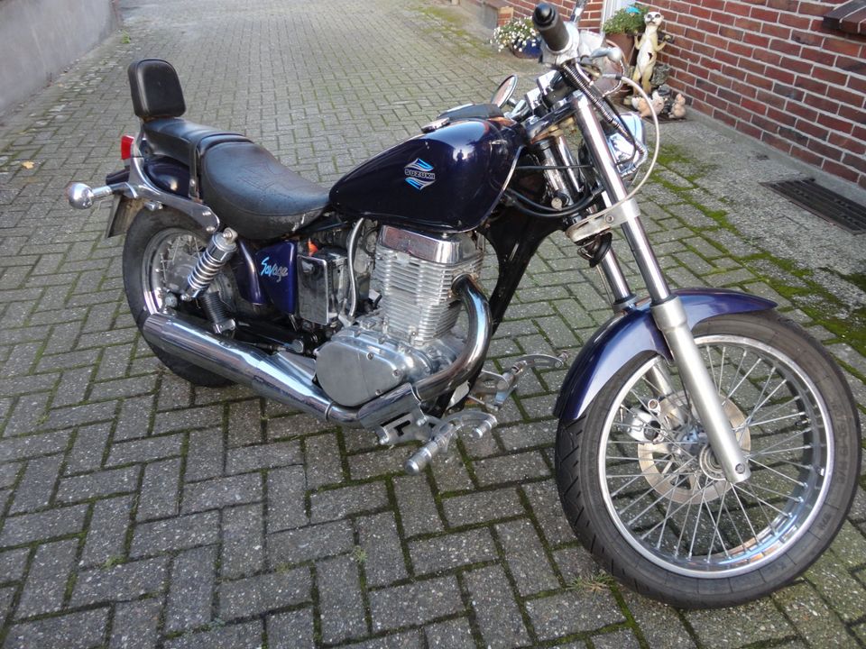 Suzuki LS 650 , 04.1993 , 16 tkm in Wardenburg