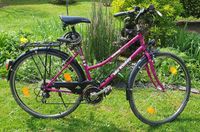 Damen Fahrrad, Trekkingrad, Bike, McKinley, 28 Zoll, 21 Gänge West - Unterliederbach Vorschau