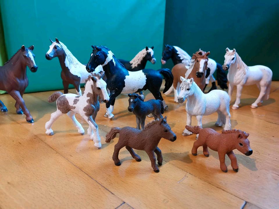 Pferde Schleich in Molschleben