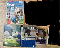 Pferdebücher Bodenarbeit Equikinetic Horsemanship Rheinland-Pfalz - Klingenmünster Vorschau