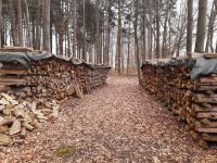 Brennholz (Fichte/Kiefer/Tanne) trocken 1m Scheite 75 pro Ster Baden-Württemberg - Limbach Vorschau