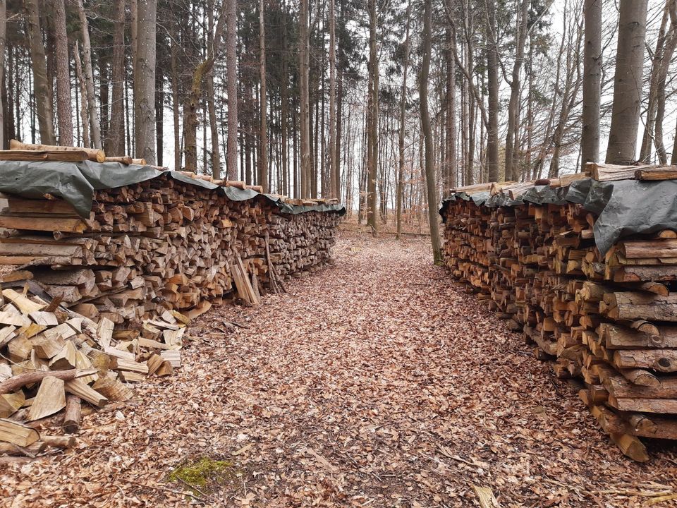 Brennholz (Fichte/Kiefer/Tanne) trocken 1m Scheite 75 pro Ster in Limbach