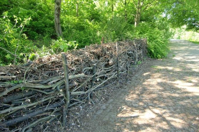 Äste / Totholz / Astwerk / Zweige - für Benjeshecke oder Hochbeet in Alt Zauche-Wußwerk