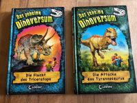 Das geheime Dinoversum Dino Buchreihe Kinderbücher Rex Stone Loew Hessen - Langen (Hessen) Vorschau