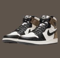 SUCHE - Nike Air Jordan 1 Retro High OG „Dark Mocha“ Sachsen - Chemnitz Vorschau