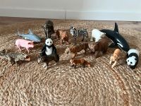 Schleich Tiere / Tiger / Elefant / Schwein / uvm. Spielzeug Niedersachsen - Weyhe Vorschau