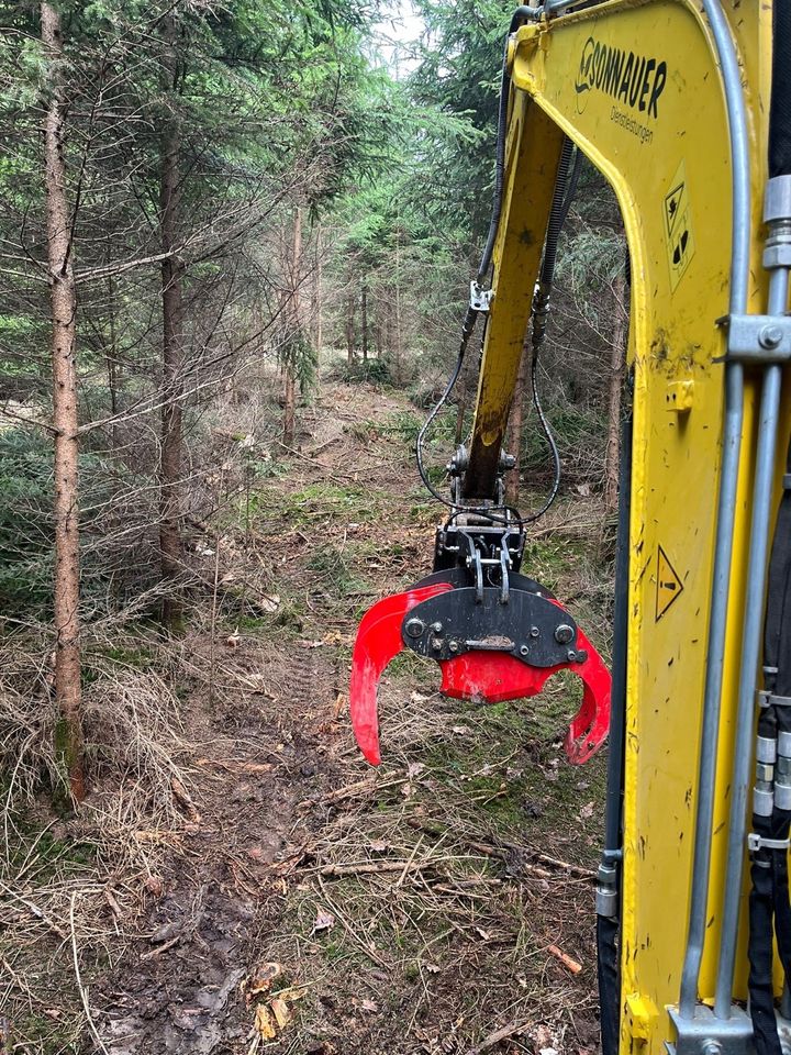 Energieholzernte Baumschere Fällgreifer Rodung Waldrandpflege in Wörth an der Isar
