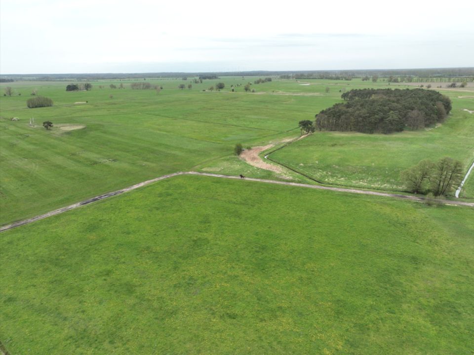 Grünland (ca. 0,8 ha) nördlich von Oranienburg bei Berlin in Liebenwalde