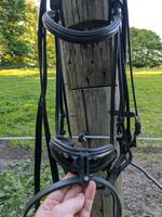 Trense Kieffer rundgenäht/ Sperriemen abnehmbar Schleswig-Holstein - Selk Vorschau