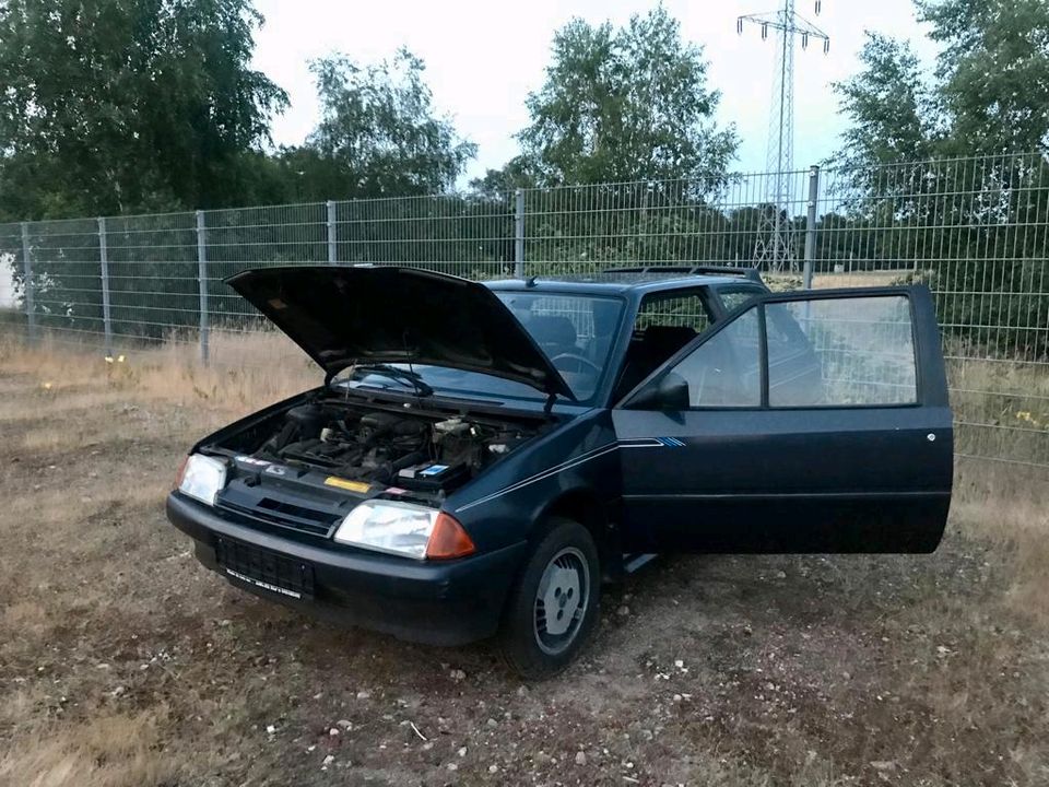 Citroen AX Platin Nr. 69 von 1800 Liebhaber Klassiker Rarität in Schwanewede