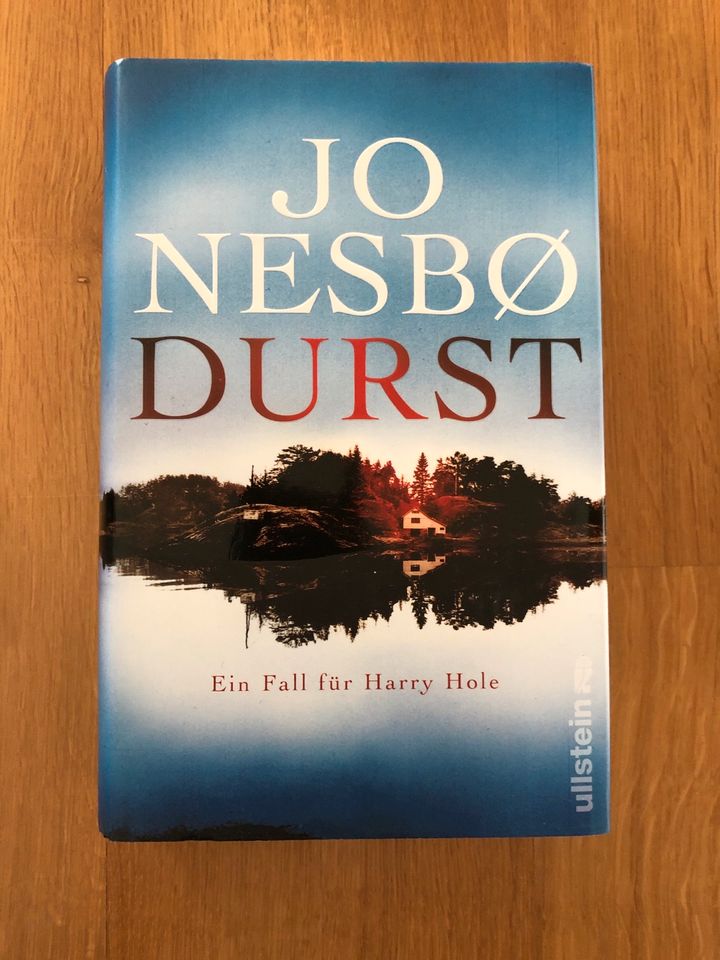 Jo Nesbo Harry Hole Schneemann Leopard Larve Durst Messer Sohn in Saarlouis