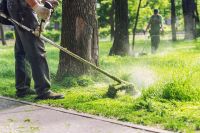 Gartenpflege Nordrhein-Westfalen - Lengerich Vorschau