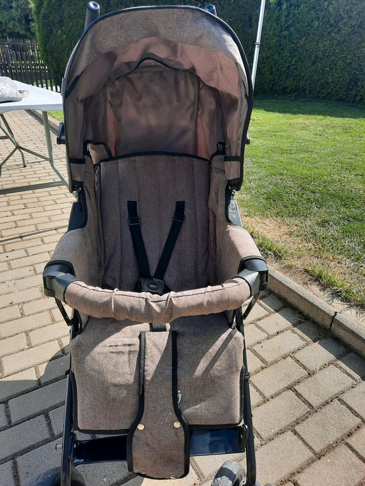 Buggy von Knorr in Elsteraue