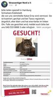 Katze vermisst Schleswig-Holstein - Ellerau  Vorschau
