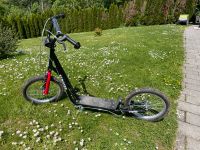 Roller Scooter Baden-Württemberg - Neidenstein Vorschau