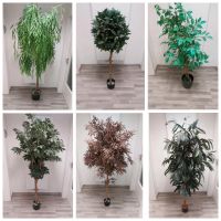 6 Kunstbäume / Kunstpflanzen bis zu 215cm Höhe im Set oder einzel Niedersachsen - Vastorf Vorschau