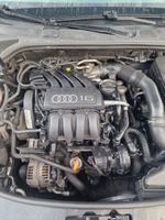 VW Golf 5  Audi A3 1.6 75kw 102PS BGU Motor Nordrhein-Westfalen - Castrop-Rauxel Vorschau