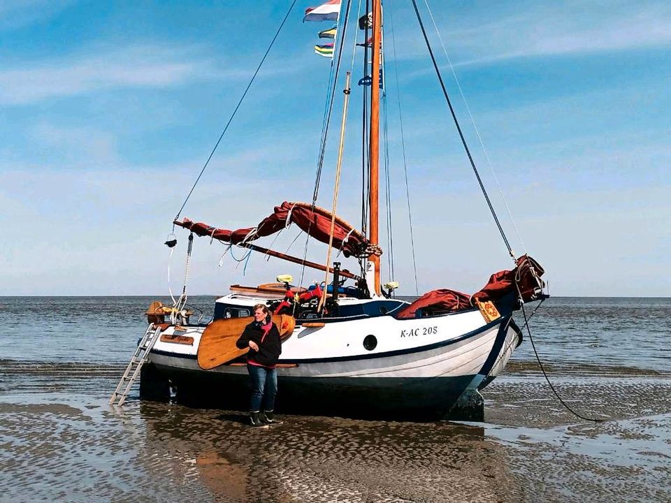 Plattbodenschiff Enkhuizer Bol Segelboot in Wermelskirchen