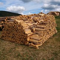 Brennholz Nadelholz trocken Thüringen - Floh-Seligenthal-Struth-Helmershof Vorschau