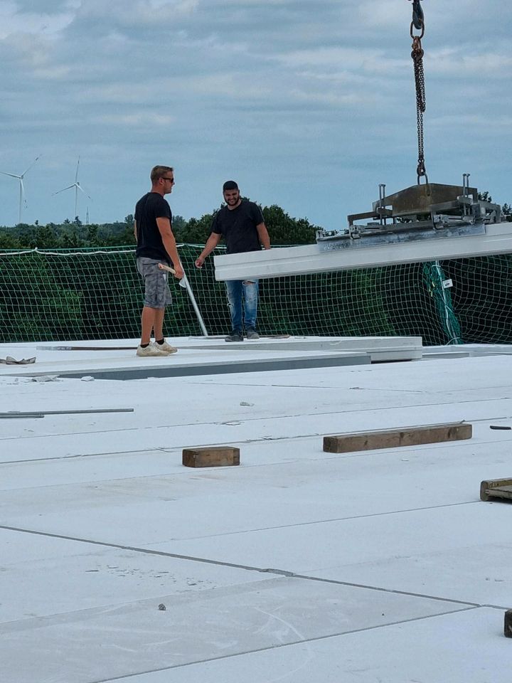 Dachplatten Zange in Bünde