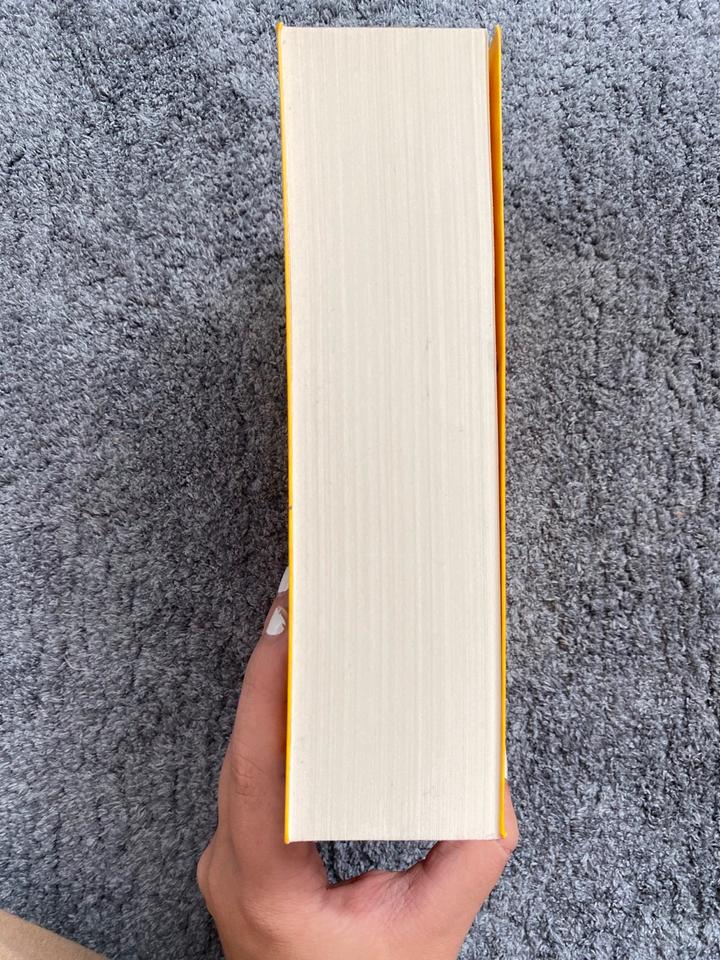 Jaclyn Moriarty - Ein Sommer der ungeschminkten Lügen |Jugendbuch in Lemwerder
