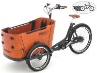 Babboe Go Mountain E Lastenrad Lastenfahrrad Elektro Dog ä. Curve Bayern - Erding Vorschau