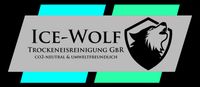 Entfernen von Autofolie - Aufklebern mit Trockeneis Bayern - Neukirchen Vorschau