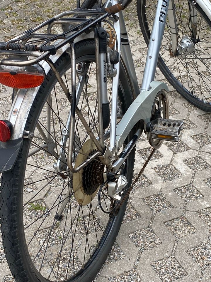 Herren-Fahrrad in Unterneukirchen