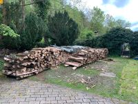 Holz zu verkaufen Nordrhein-Westfalen - Freudenberg Vorschau