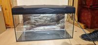 Aquarium 60x30x34 cm mit Lampe Bergedorf - Hamburg Lohbrügge Vorschau