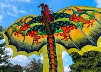 Stoffdrachen 250cm Drachen Bambusdrachen Flugdrachen Balidrachen Essen - Essen-Werden Vorschau